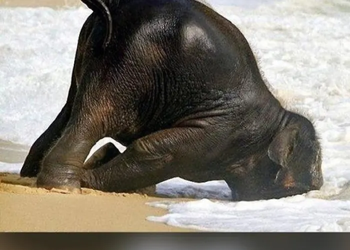 Appartement Sunshine *