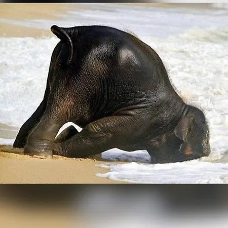 Apartament Sunshine *