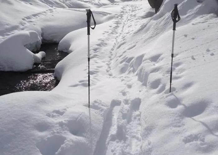 Sunshine Appartement